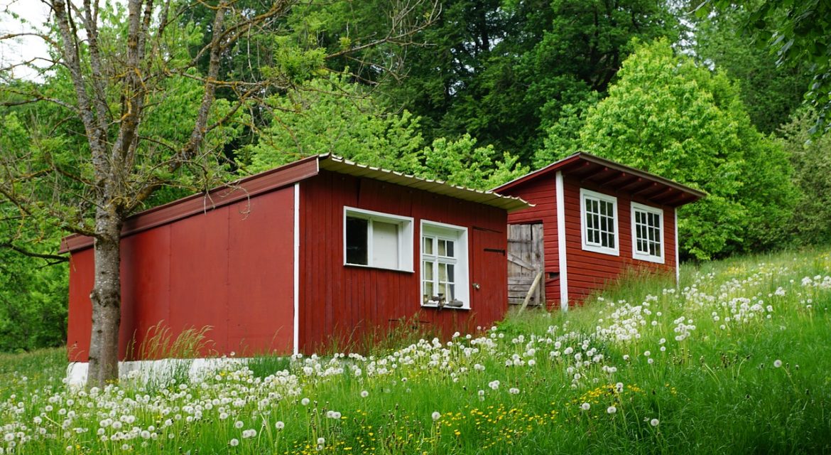 Leven in een Tiny Huis: De Ultieme Gids voor Duurzaam en Minimalistisch Wonen